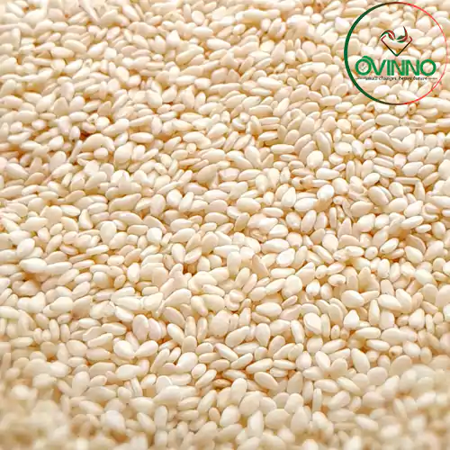 Sesame (তিল) 