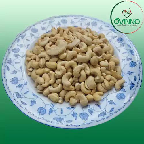 White Cashew (কাজু বাদাম)