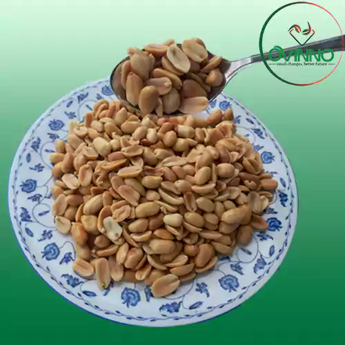 Thai Badam (থাই বাদাম) 