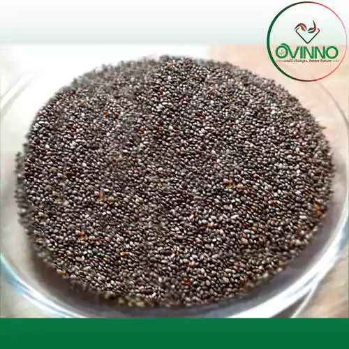 Chiaseed (চিয়াসীড)