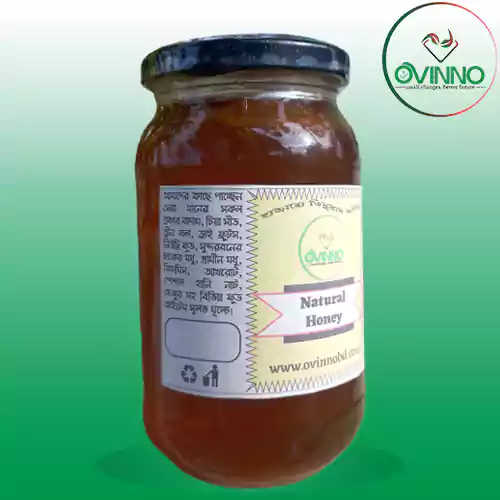 Natural Honey (প্রাকৃতিক চাকের মধু)