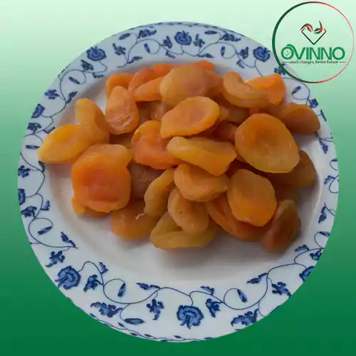 Apricot (এপ্রিকট) 