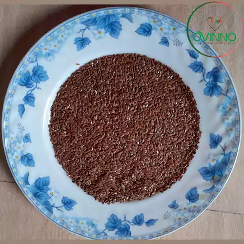 Brown Flax Seed (তিশি) 